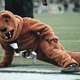 Illustration for article titled Penn State Recently Bought Four .XXX Domain Names, Should Have Bought More